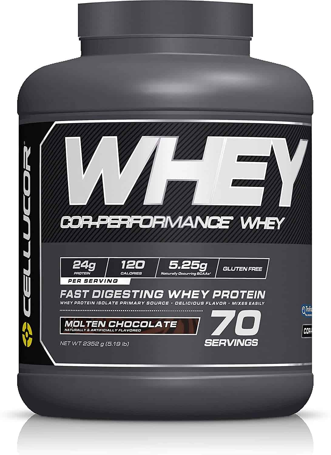 10 Best Low Carb Protein Powder in the USA in 2021