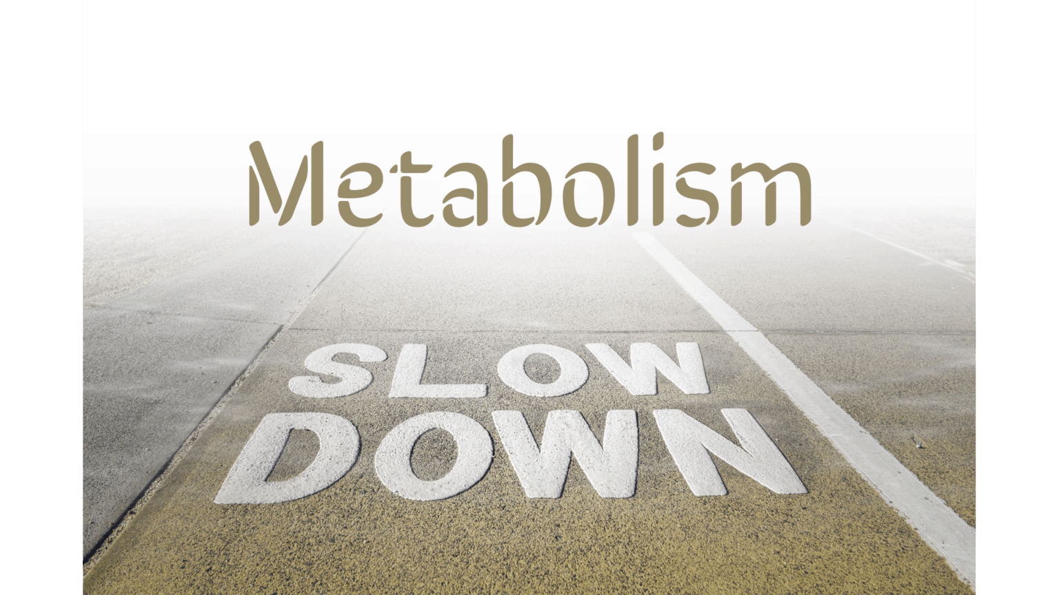 Metabolism Slow Down 101 Lessen Your Risk Of Obesity metabolism-slow-down-101-lessen-your-risk-of-obesity