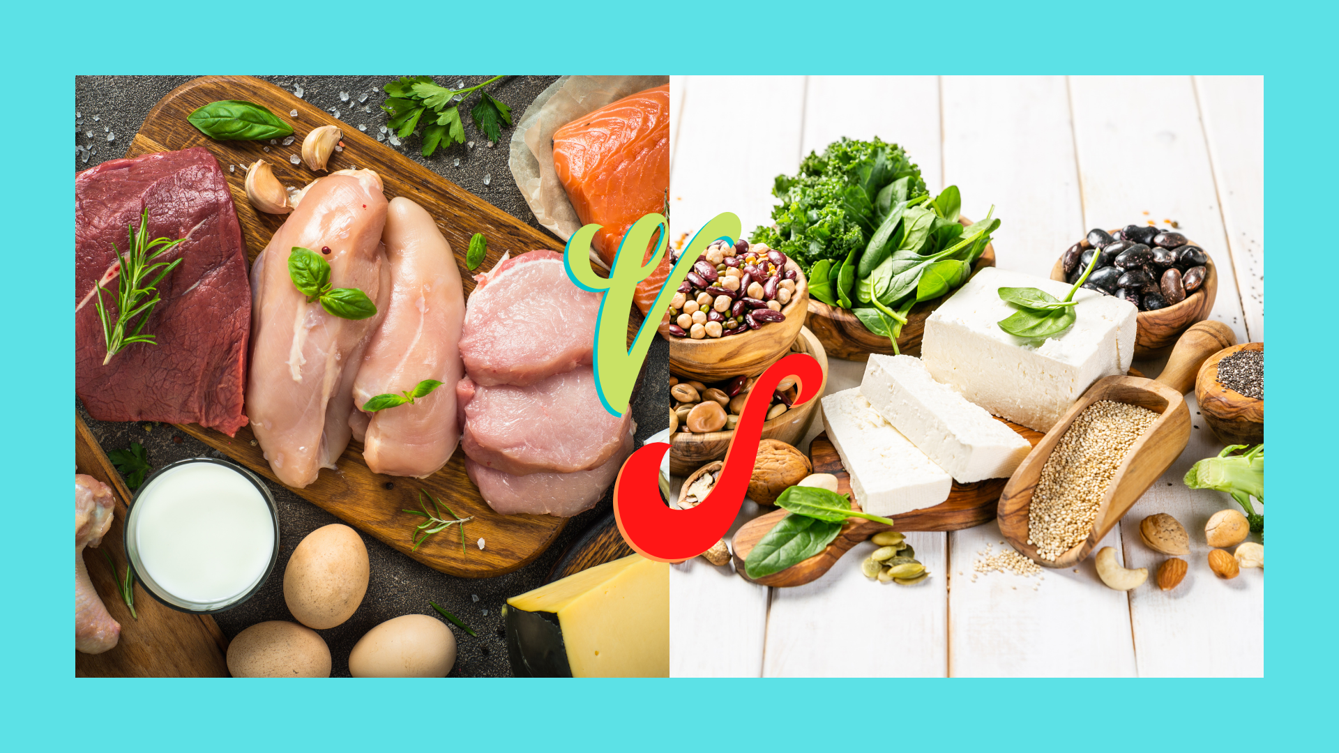 Animal Vs Plant Protein – Which is The Best Choice in 2023? Animal Vs Plant Protein – Which is The Best Choice in 2023?