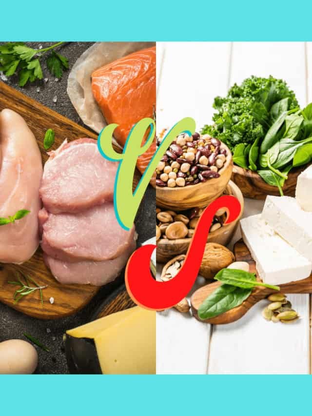 Animal Vs Plant Protein – Which is Better?