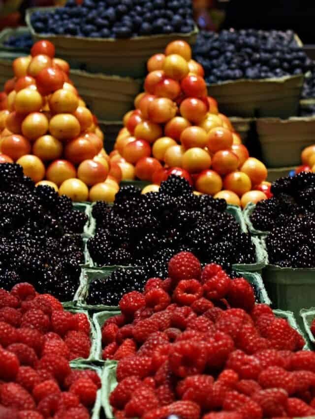 7 Best Vegan Protein Powders in 2022 – The Healthier Choice