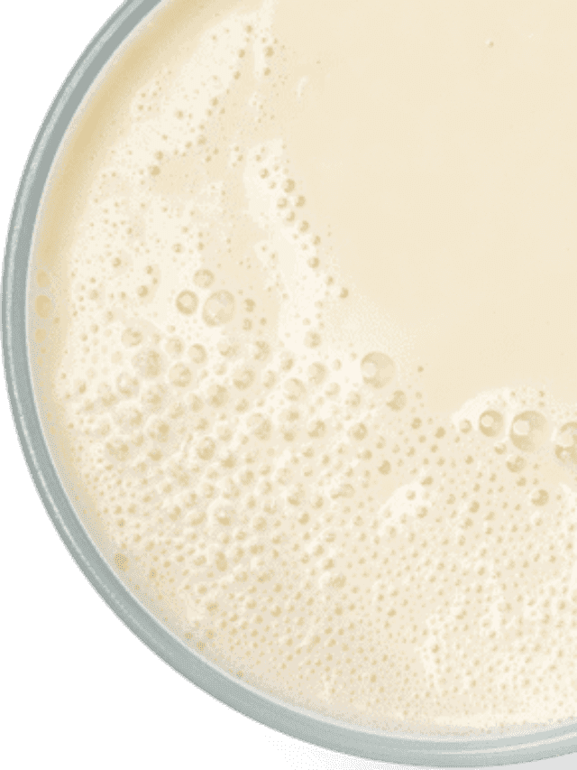 Opportuniteas Whey Protein: Value for Money?