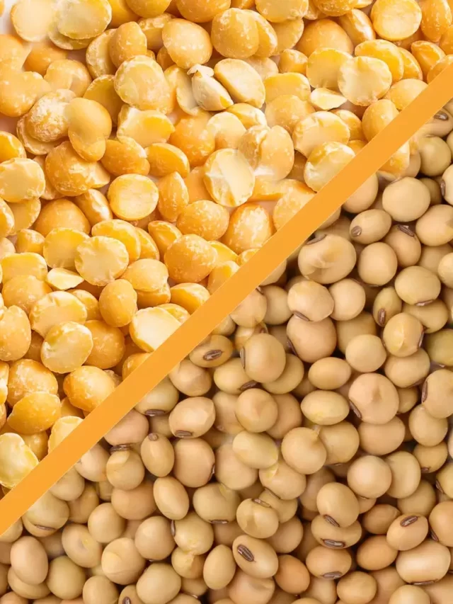 Is Pea or Soy Protein Better?