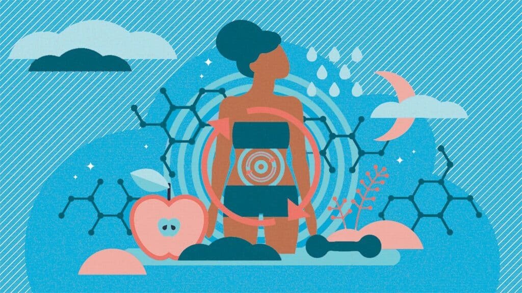 7 Facts About Your Metabolism