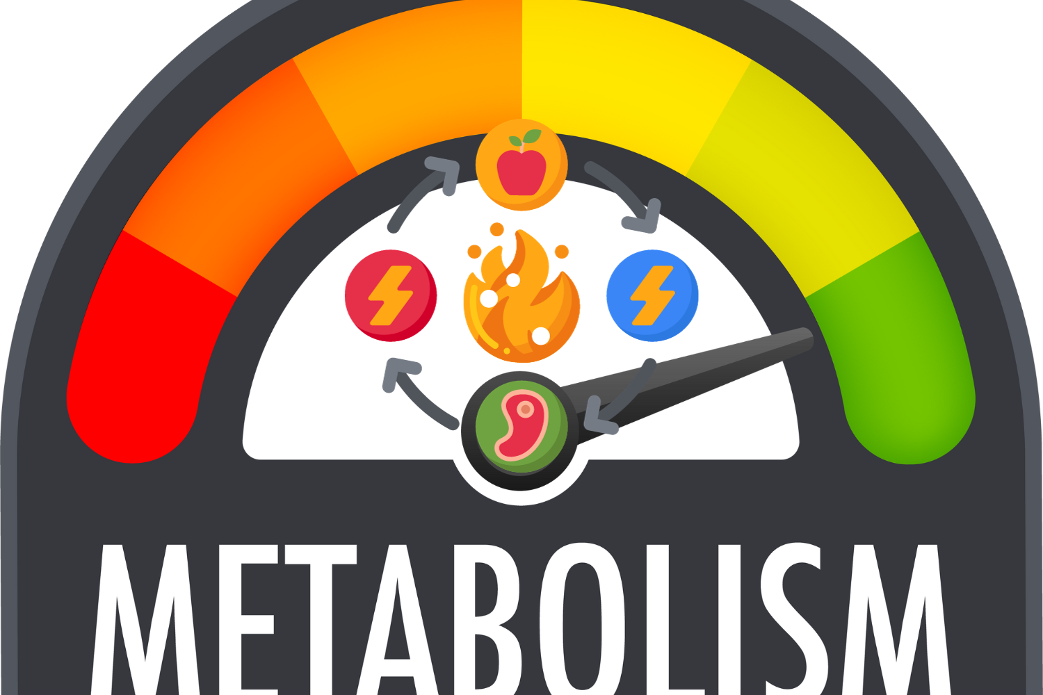 Increase Metabolism