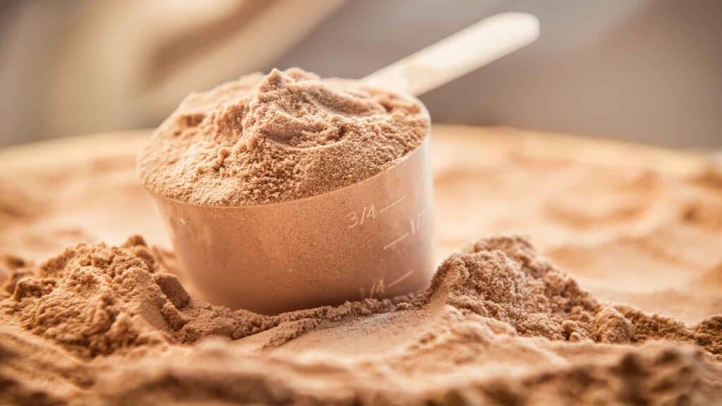 Protein Powders for Women