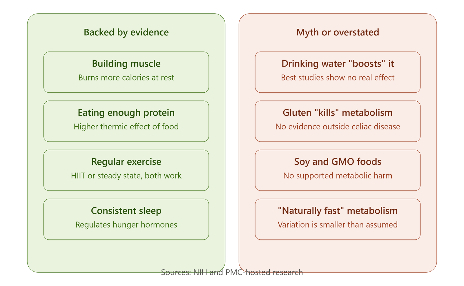 metabolism evidence vs myth - How to increase metabolism
