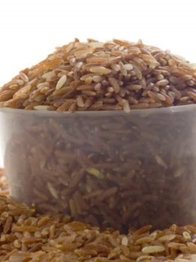 Best Brown Rice Protein Powder my active tribe