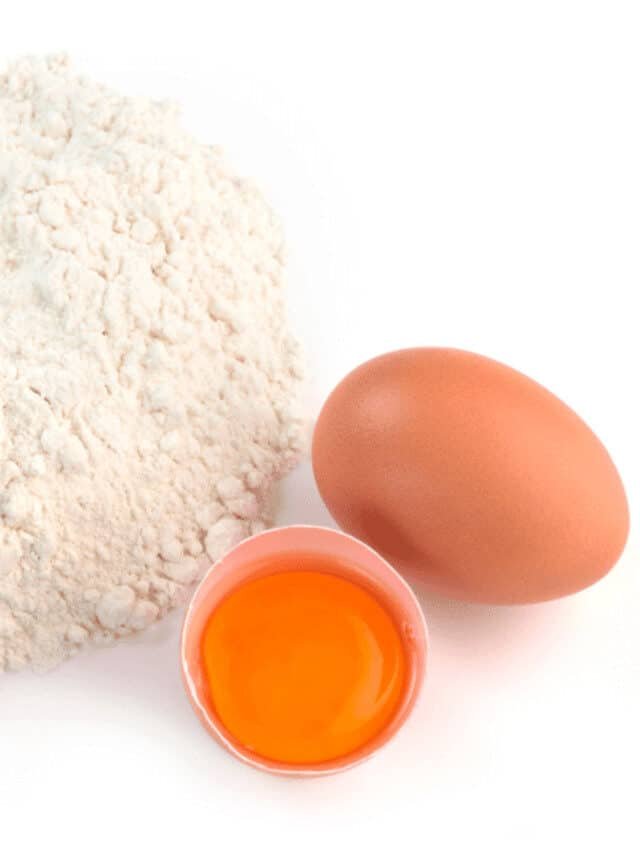 Best Egg White Protein Powders