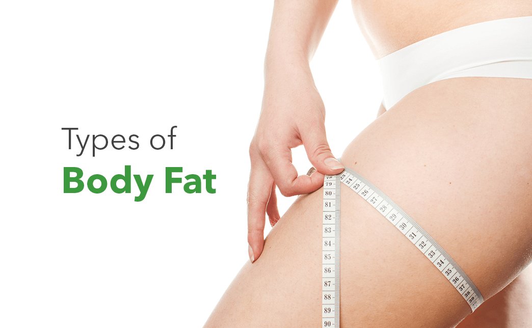 types body fat