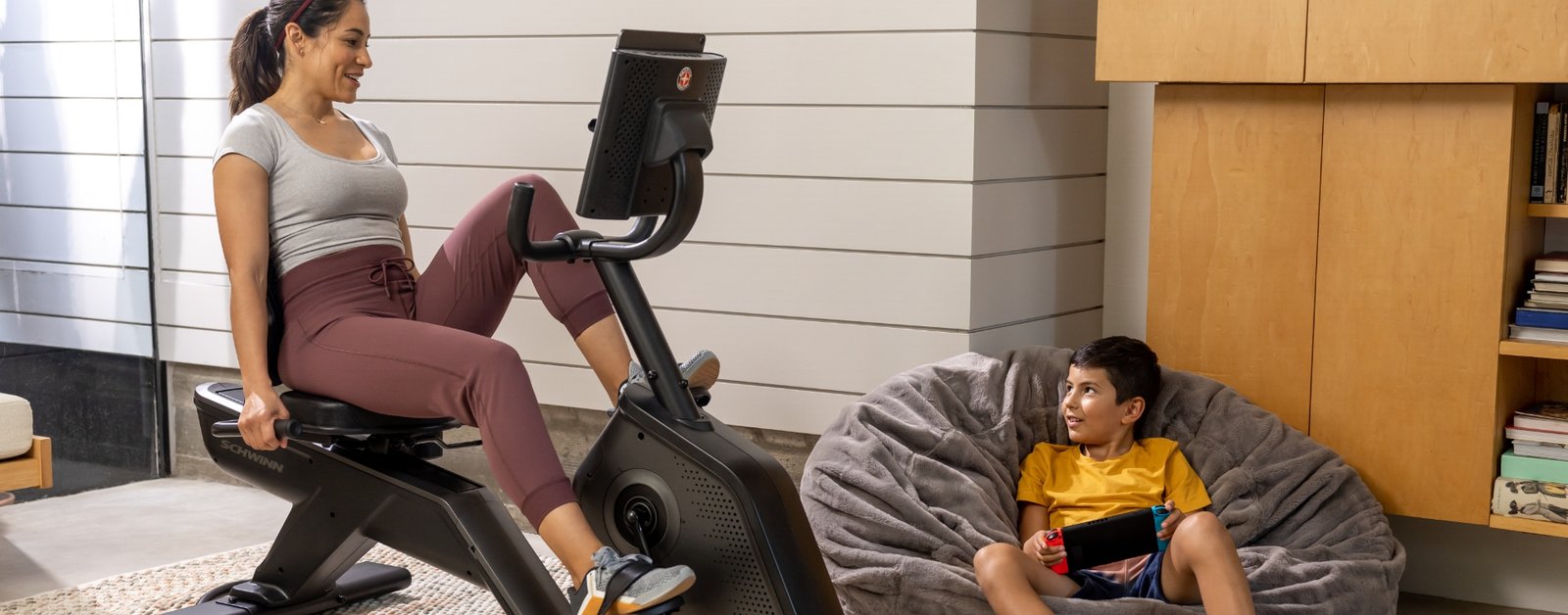 Schwinn 290 Recumbent Bike