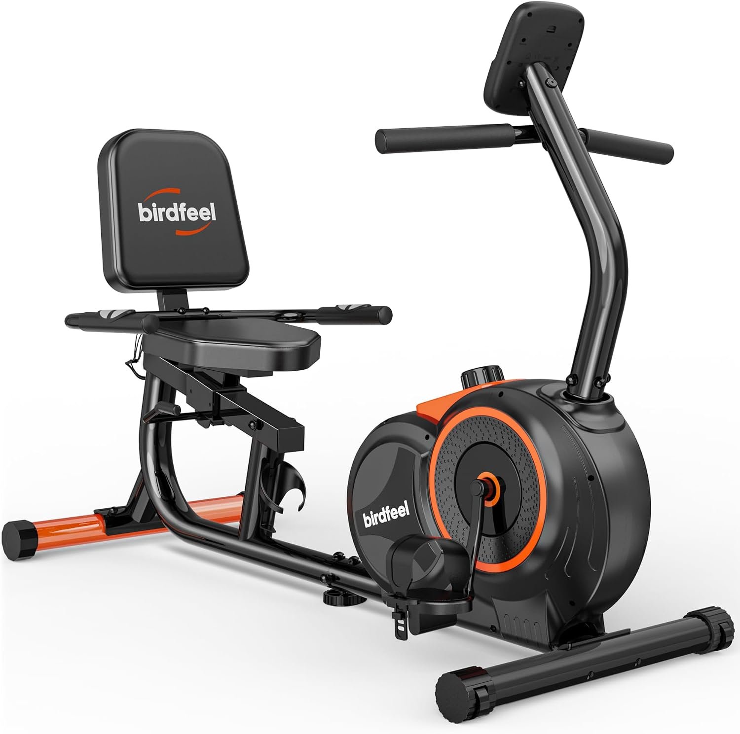 Birdfeel Recumbent Bike