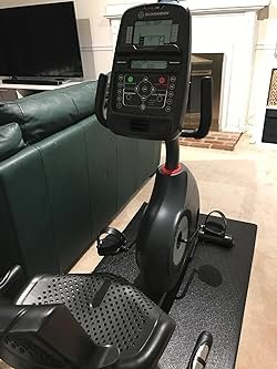 Schwinn 230 recumbent bike