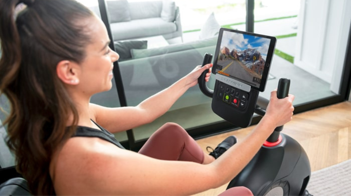 Schwinn 230 recumbent bike