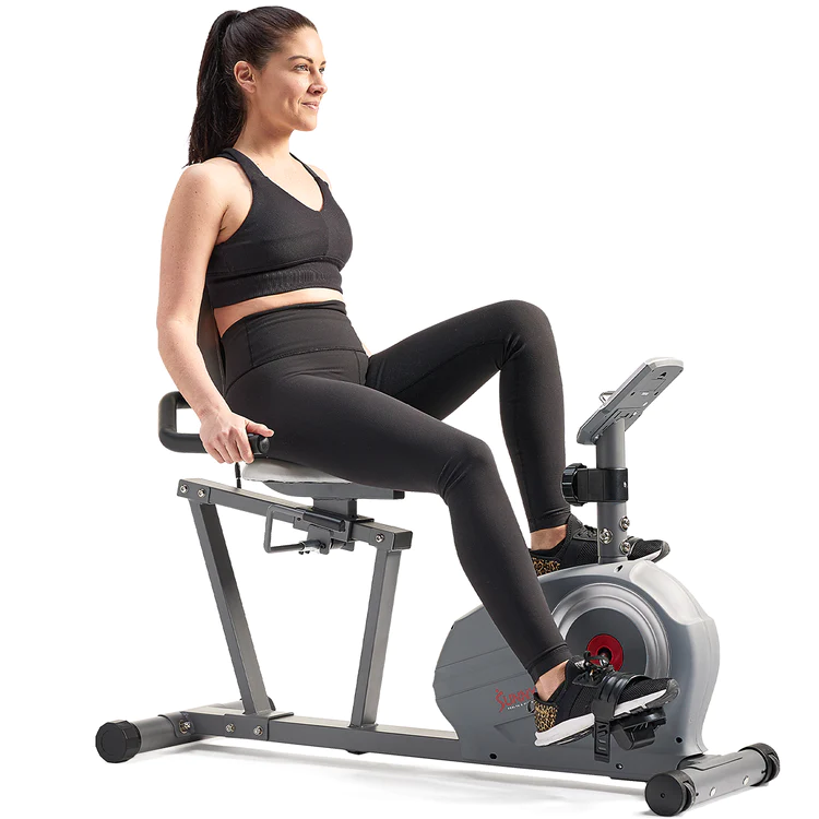 Sunny Health & Fitness Magnetic Recumbent Bike SF-RB422003