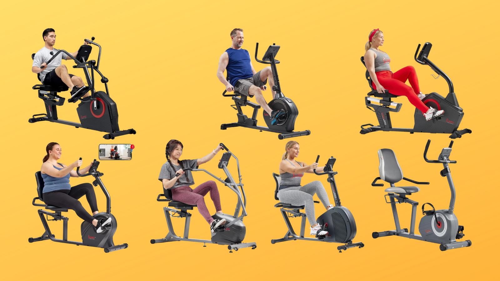 Sunny Recumbent Bike