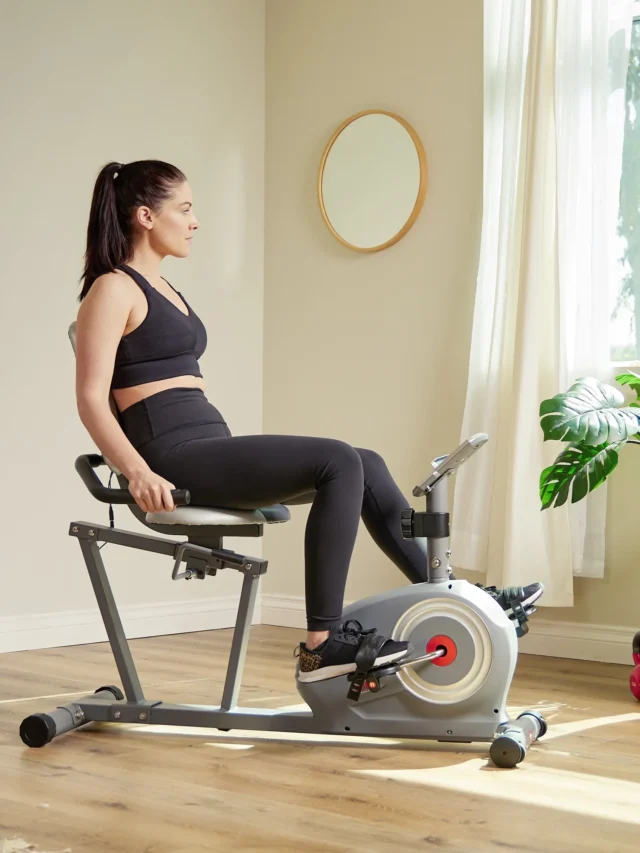Sunny H&F Performance Interactive Series Recumbent Exercise Bike