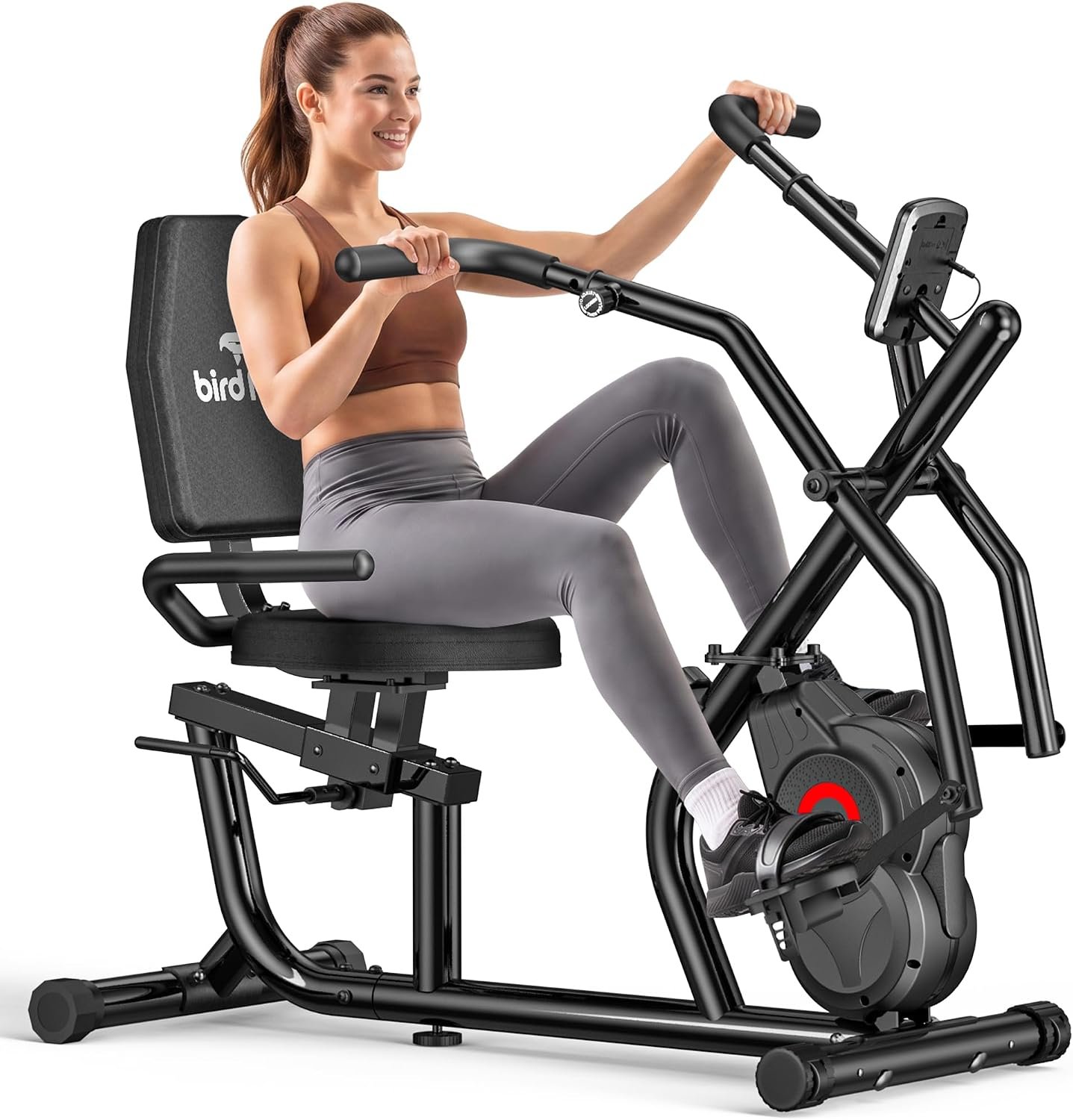 Birdfeel Recumbent - Recumbent Cross Trainer