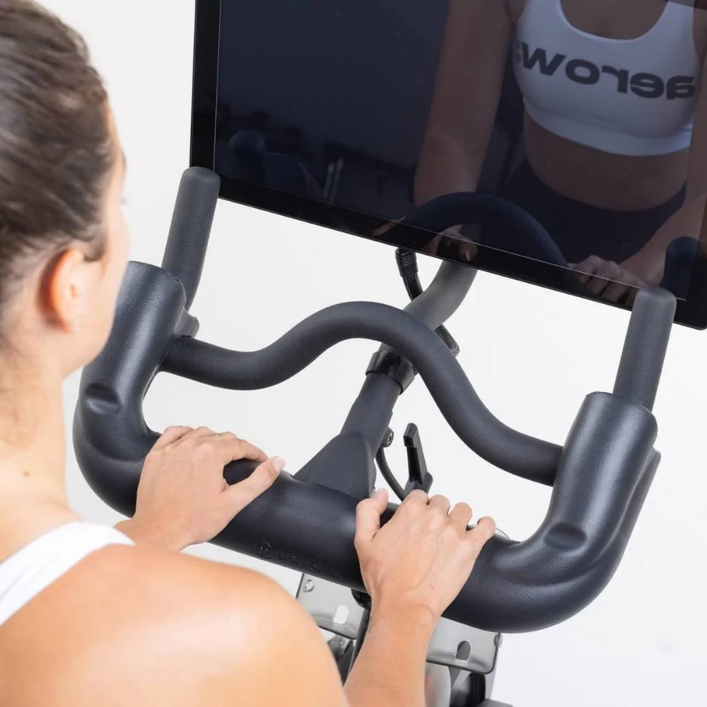 NordicTrack s22i handlebar extension