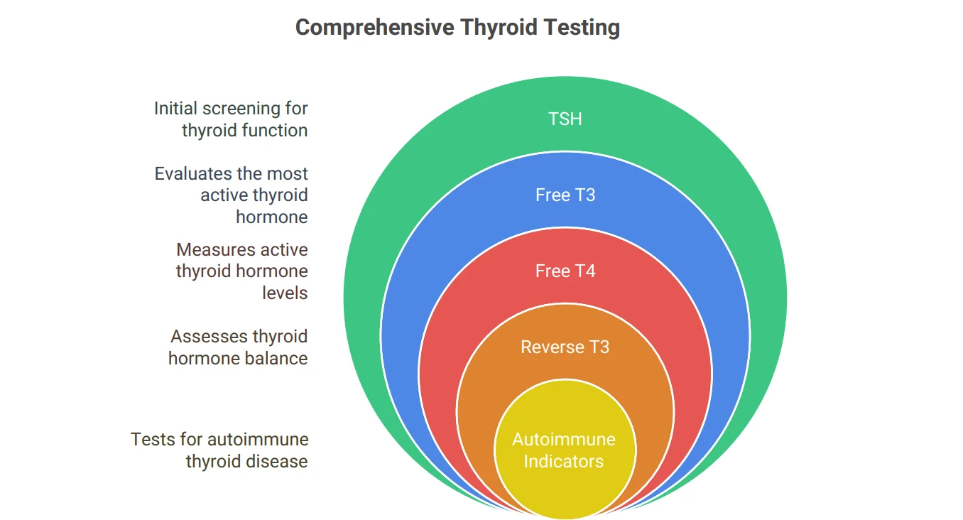 Comprehensive Thyroid Testing
