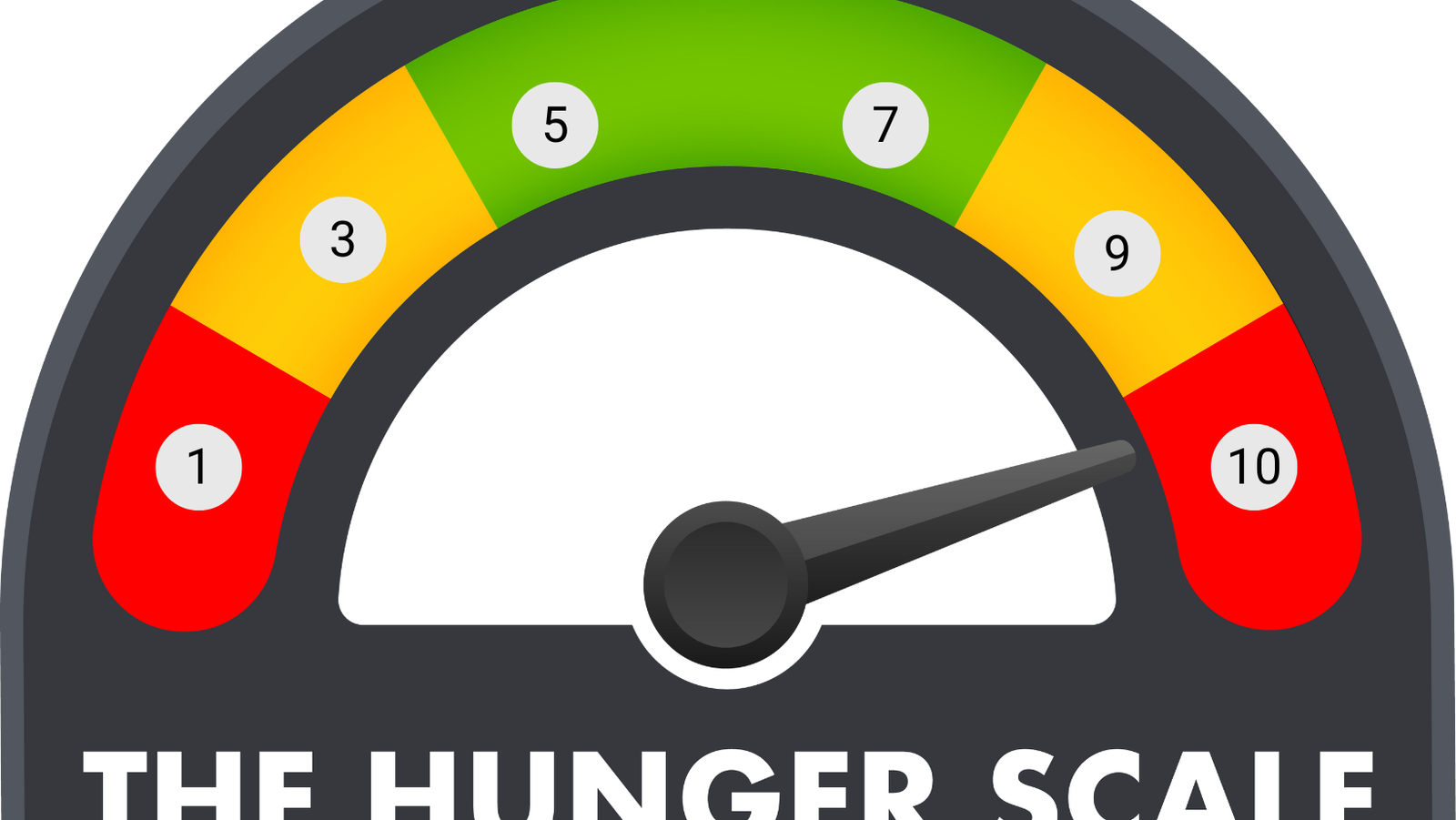 Hunger Fullness Scale